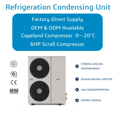 6HP Copeland/Emerson Compressor Condensing Unit Air Cooled Refrigeration Unit for Cold Room
