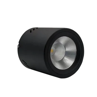 Factory Price OEM Surface Mounted LED Downlight SMD2835 15W to 40W COB Spot Light Ceiling Mounted LED Pendant Downlight
