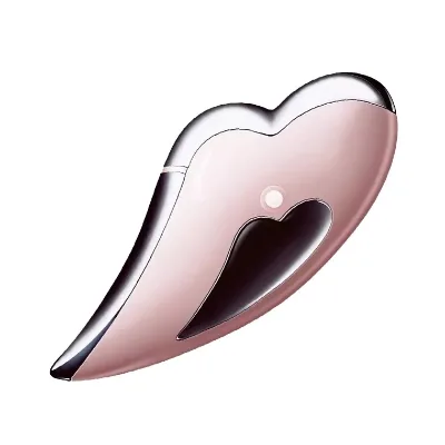 Newest Handheld Guasha Scraping Facial Neck Skin Rejuvenation Home Use Portable Face Massager Microcurrent Vibration Machine USB