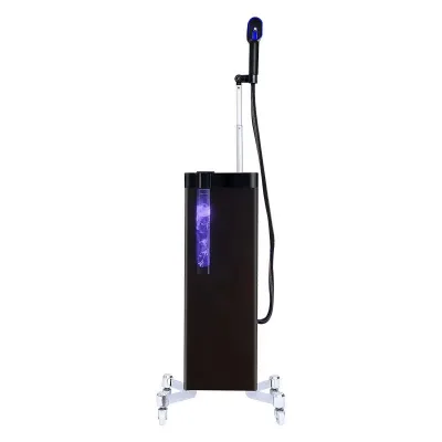 Multifunctional Water Nano Spray Device Hairdressing Hydrating Spray Hair Micro Nano Blue Light Disinfection Nano Steam Electric