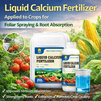 High Absorption Liquid Calcium Fertilizer Stop Blossom End Rot Increase Yield for Plants