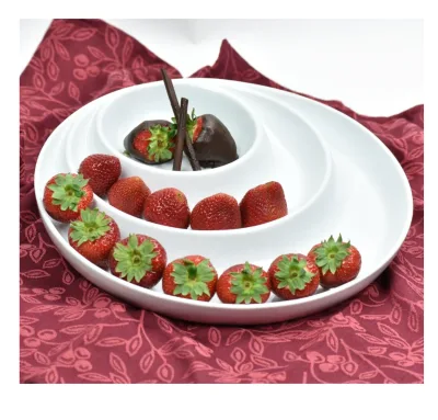 2026 HOT Sale Concentric Circles Platter Serveware Modern serving platter with three sections