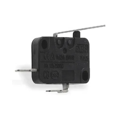 China Switch Factory Baiqiao Home Applainces Air Fryer Heater Parts 16a Safty Micro Switch