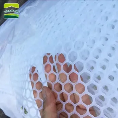 New 2CM Aperture Durable PP Plastic Wire Mesh for Chicken Poultry Netting Animal Cages with Chick-friendly Design