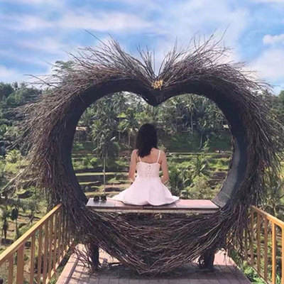 Echo Outdoor Sun Hotel Beach Design Rattan Wicker Garden Bird Nest