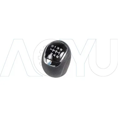 New Product: Gear Shift Knob for IVECO DAILY MK6 2019 - OE5802470372