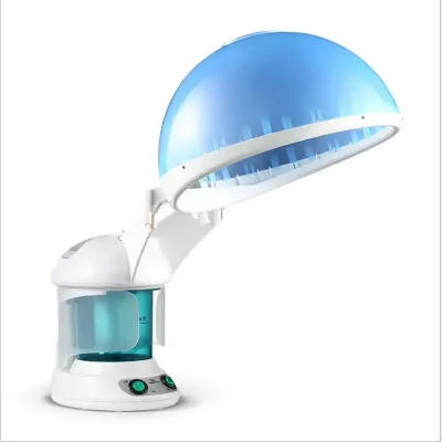 T 2024 Hot Sale Personal Spa Steamer Machine Hair and Facial Spa Steaming Facial Steamer