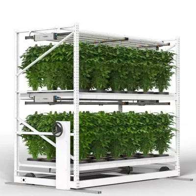 Factory Hydroponics Indoor Vertical Farm CEA Planting Rack Shelf Small Greenhouse Grow Table Leafy Green Fruit Vegetables Plant