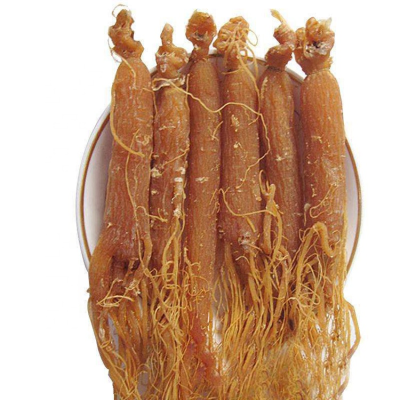 Bulk Supply 6-8 Years Organic Red Panax Ginseng Root
