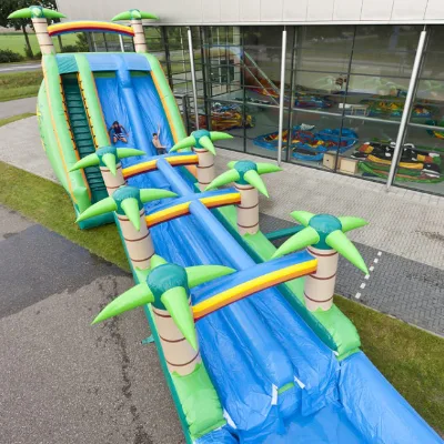 Outdoor Giant Inflatable Slip N Slide, Inflatable Jungle Water Slide Clearance for Sale