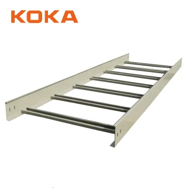 Manufacture Price Stainless Steel OEM Galvanized Heavy Duty Cable Tray Ladder