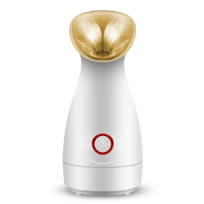 Private Label Ion Nano Mist Deep Moisturizing Hot Facial Steamer
