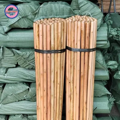 2024 Eco-Friendly Varnished Wooden Heavy Push Street Broom Handle with Tip for Household Use