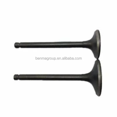 Motorcycle NC250 Engine Parts Valve for 4 Vavles Engine Parts Valve IN/EX NC 250