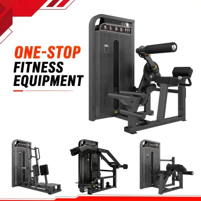 WENDY Dorsal Muscle Abdominal Muscle Strength Machine Trainer Stainless Steel Construction Comprehensive Fitness Exercise