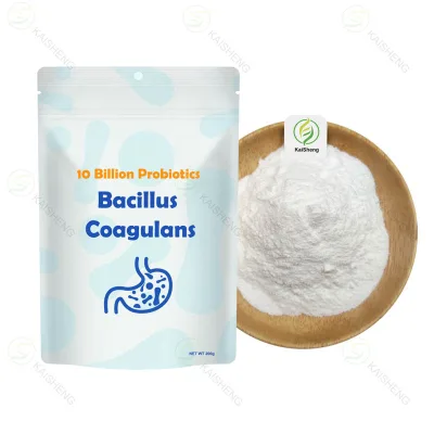 Wholesale Additives Probiotics Powder Food Grade Bacillus Coagulans Powder