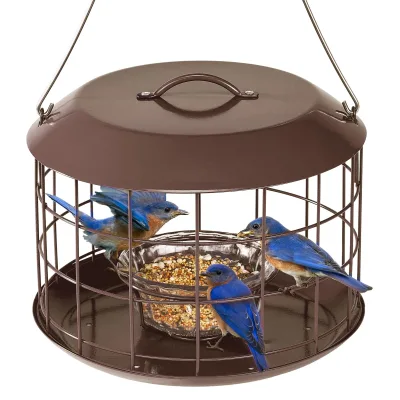 Bluebird Feeders for Outdoors Hanging All Metal Cage Bird Feeder with Tray Squirrel Proof & Weatherproof Easy to Refill & Clean