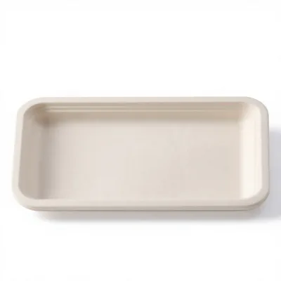 Disposable Pulp 14 Inch Large Rectangular Plate Biodegradable Barbecue Outdoor Picnic Buffet Portable Tray Stir-Fry Dish