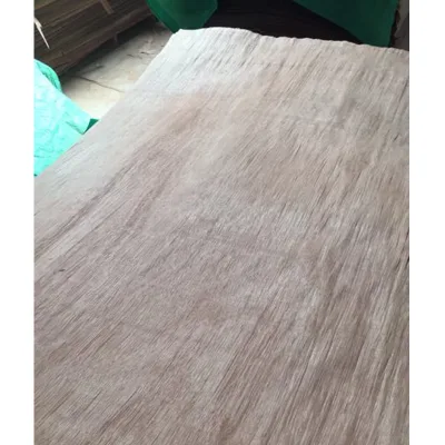 Best Sale Natural Wood Veneer PLB Face Veneer Rotary Cut