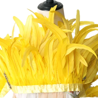 Wholesale Carnival Feather Trimming Dye 25-30cm Rooster Tail Feather Headdress Party Hat Decoration Clothing Sewing