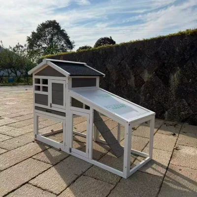 Outdoor 2-Story Solid Wood Eco-Friendly Luxury Chicken Coop & Rabbit Hutch with Waterproof Roof