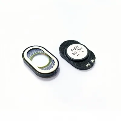 2415 24*15mm Oval Waterproof Speaker 8Ohm 2W Internal Magnetic Plastic Shell Speaker High Temperature Resistant for Navigation