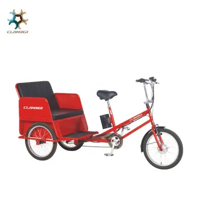 250W Electric Cargo Trike Pedicab Three Wheels TC8001E for Family Use
