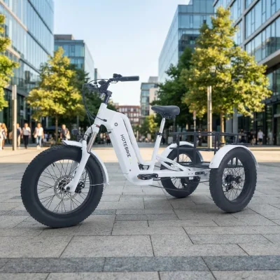 36V 350W S3 PRO Electric Cargo Tricycle Open Body 1 Passenger Utility Three Wheel Electric Bike