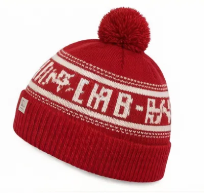 Winter Warm Stretch Knitted Skull Cap for Adults