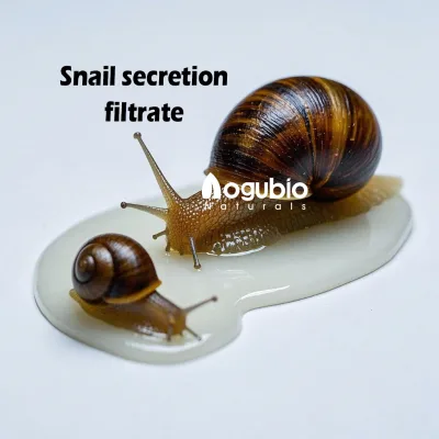 Natural Snail Secretion Filtrate Serum Moisturizing Skin Repair Essence Facial Hydrating Beauty Skin Care Product