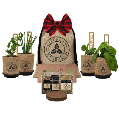 Different Medicinal Packaging Indoor Herb Starter Grow Kit Herb Parsley Basil Cilantro Single Spices & Herbs