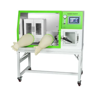 Good Price LAI-3 Series Anaerobic Incubator Anaerobic Hot Sell Digester Chamber Incubator