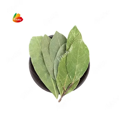 Dried Sage Leaf Bay Leaf Production Laurel Leaves for Spice