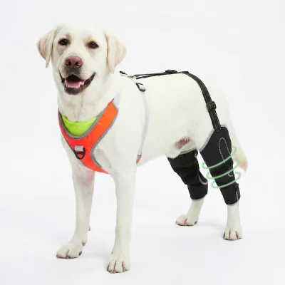 Custom Adjustable Neoprene Dog Knee Brace with Chest Harness for Elderly Pet Leg Support and Post-Surgery Recovery Outdoor Use
