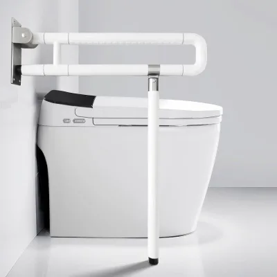 Dalisheng Modern Stainless Steel ABS/Nylon Wall-Mounted Anti-Slip Safety Handicap Handrail Elderly Hospital Bathroom Use