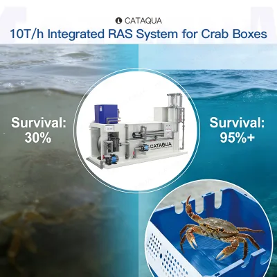 Indoor Factory Stereo Recycling Water Self Clean Patent Less Manpower High Density Mud Crab Farming for Aquaculture Fish Tank