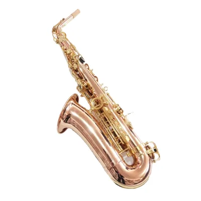 Beginner Friendly E Key Alto Saxophone Golden Lacquer Finish