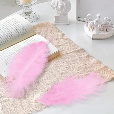 Black Natural Bulk Ostrich Feathers Kit Contain 8-10 Inches of Feathers and 7 Inches of White Feather Sticks for Various DIY