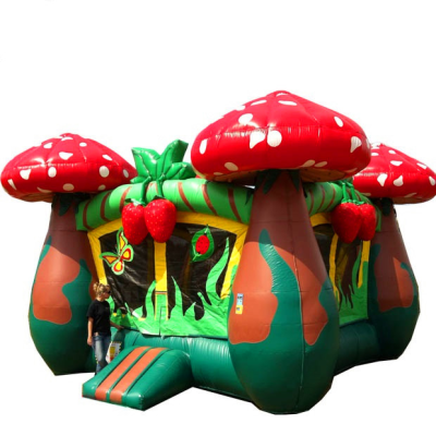 Kids Lovely Strawberry Shortcake Indoor Bounce House,indoor Bounce House Jump,custom Bounce House