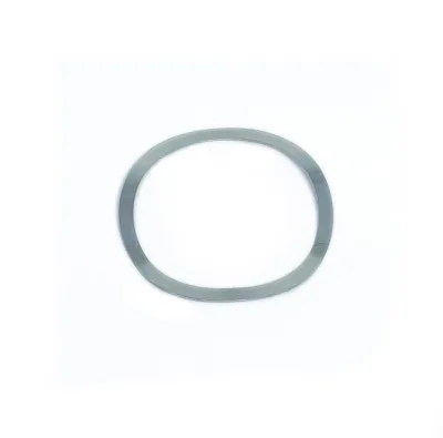 Mortise Cylinder Wave Spring Ring
