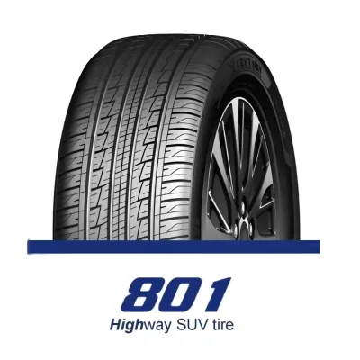 Winter Tire New Pattern Snow 275/45R21 245/60R18 Car s and Other Wheels 801