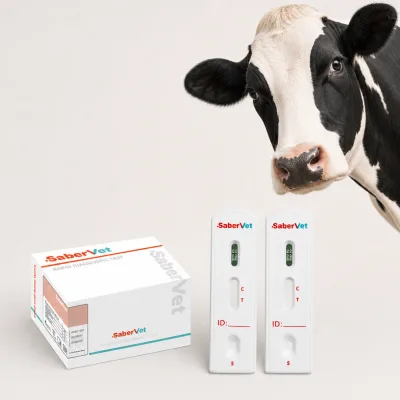 Veterinary Bovine Sheep Brucella Antibody Rapid test Kit Bovine Brucel Test of Cattle