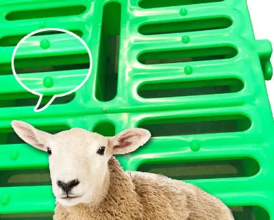 Green New 600 * 600mm Plastic Goat Board for High-quality Plastic Goat Board Flooring Used in Goat Breeding Equipment