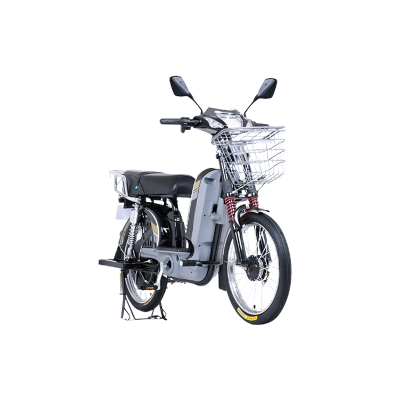 500w Bicycles for Sale Electric Bicycle E Bike