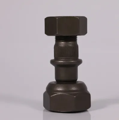 Good Quality Factory Directly T Bolt With Nut and Washer 19*1.5/19*1.5*80