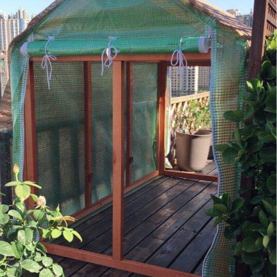 Mini Garden Greenhouse