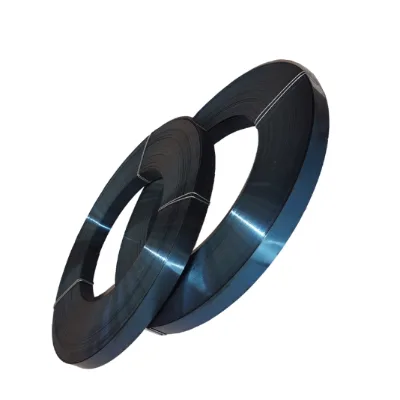 China Blue Packaging Steel Strapping Price of Carbon Steel Strap/Strip Cheap Price