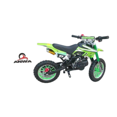 2020 Chinese 2 Stroke Engine Race Bike/Dirt Bike 49CC