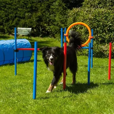 Pet Dog Agility Training Equipment Dog Obstacle Course Including Tunnel Adjustable Hurdles Jumping Ring Weave Poles