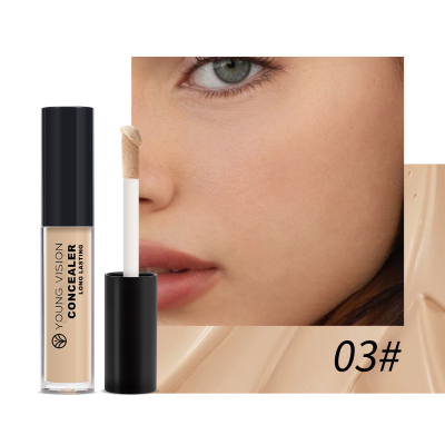 Six Color Natural Makeup Resistant Waterproof and Sweat Resistant Foundation Make-up Concealer